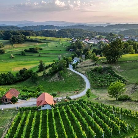 Vineyard Cottage Krivic Trebelno Exteriér fotografie