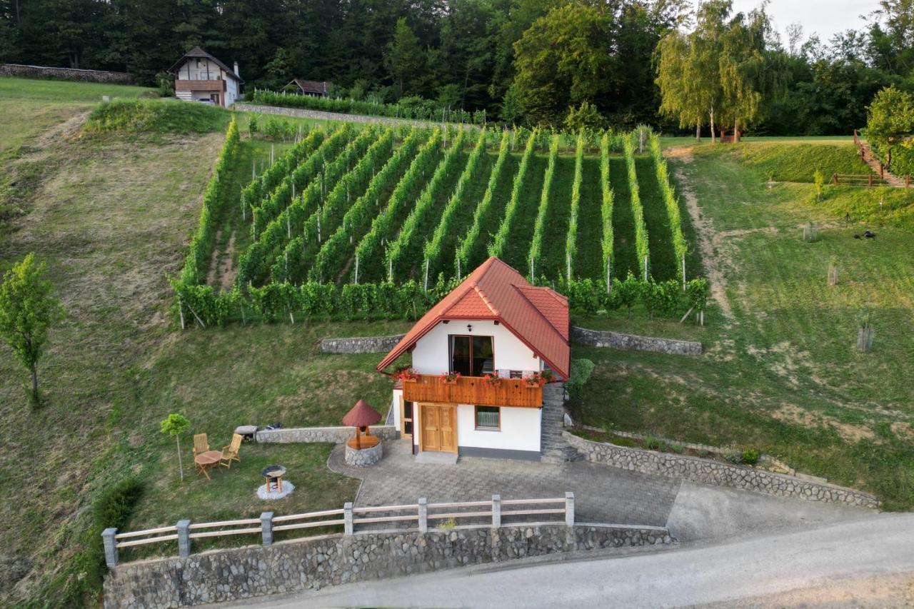 Vineyard Cottage Krivic Trebelno Exteriér fotografie