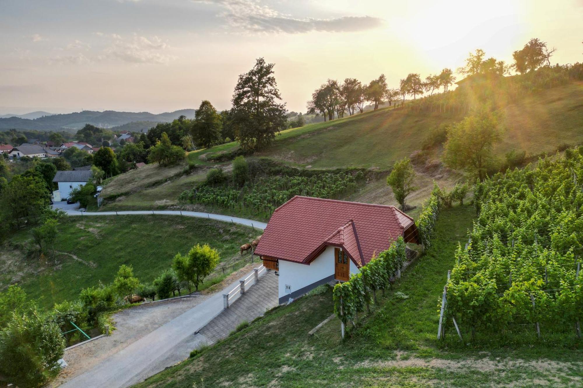 Vineyard Cottage Krivic Trebelno Exteriér fotografie
