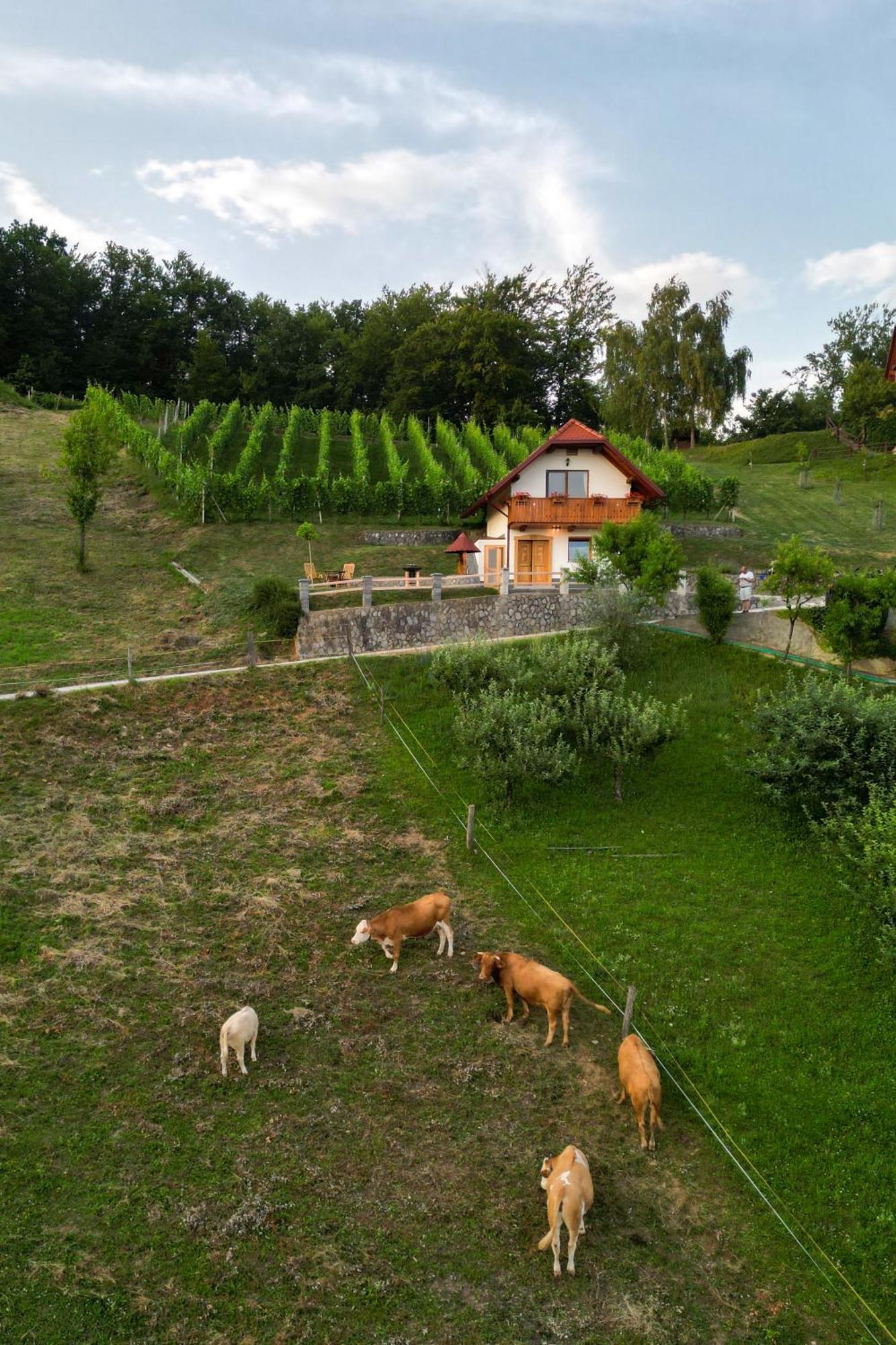 Vineyard Cottage Krivic Trebelno Exteriér fotografie