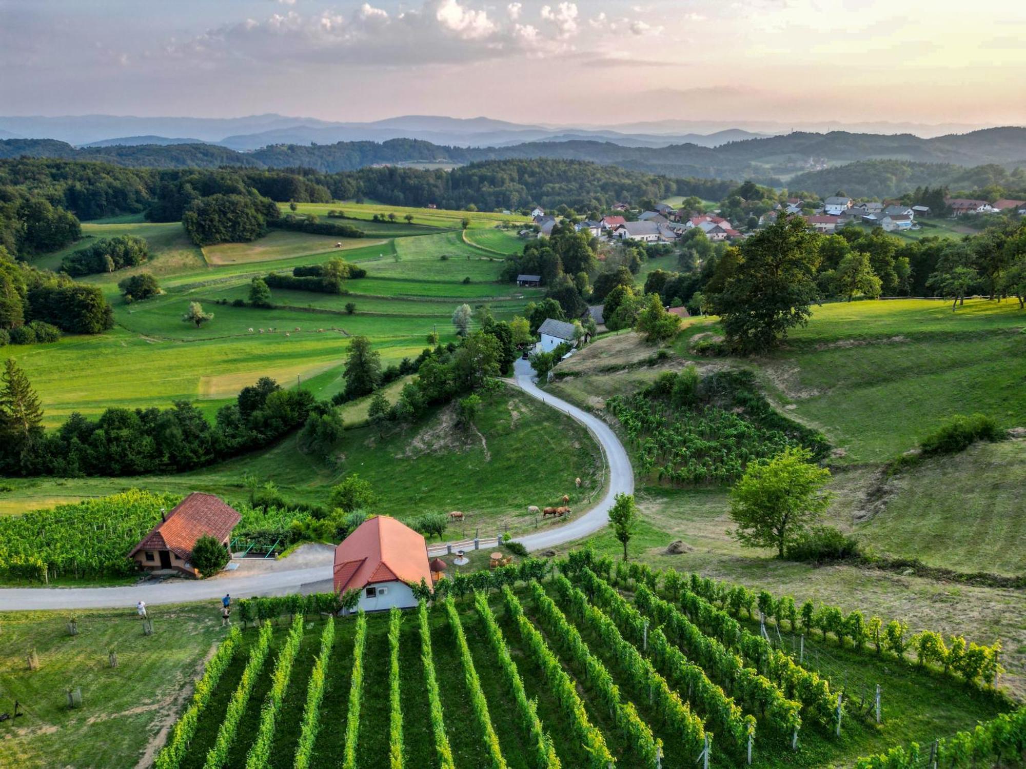 Vineyard Cottage Krivic Trebelno Exteriér fotografie